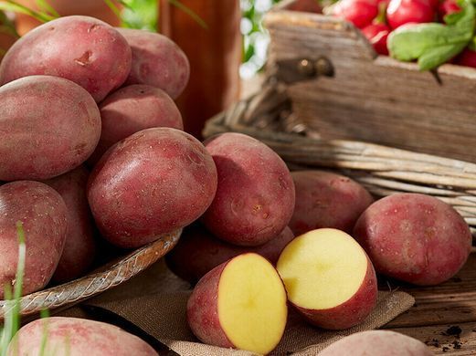 Семенной картофель Балтик Роуз  фото, Семенной картофель Балтик Роуз  интернет магазин Добрі сходи