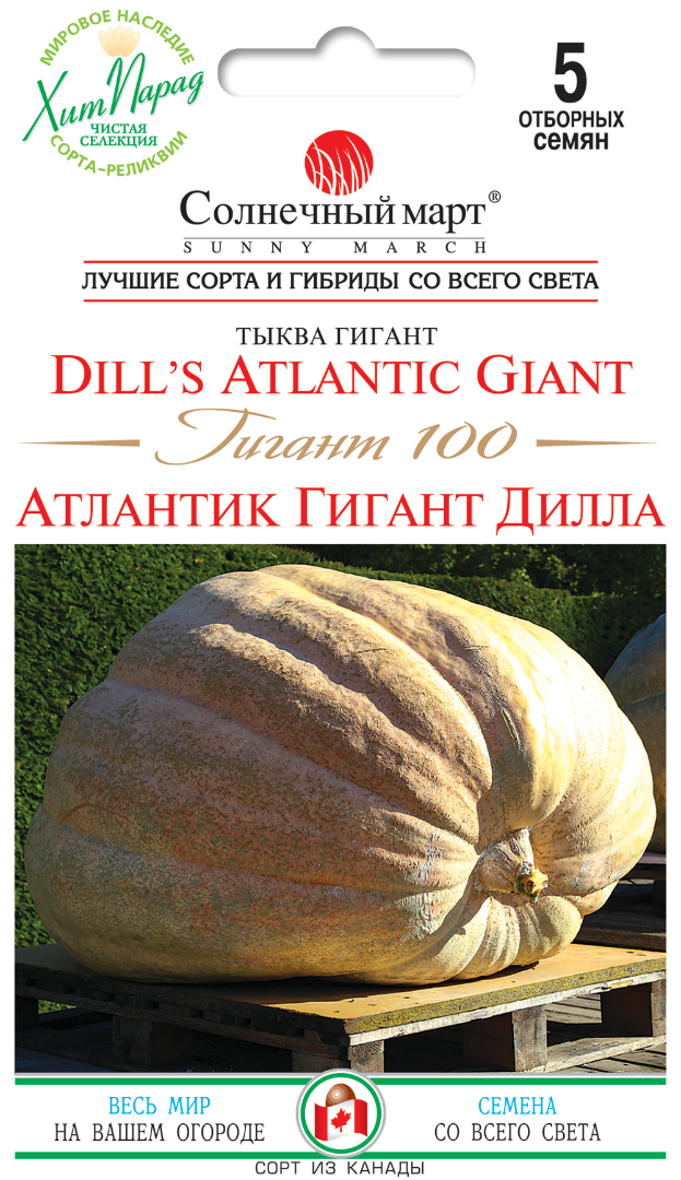 Семена тыква Атлантик гигант. Тыква Атлантический гигант семена. Семена тыква Атлантик. Atlantic giant семена.