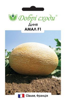 Насіння дині Амал F1 (Amal F1) фото, Насіння дині Амал F1 (Amal F1) інтернет магазин Добрі сходи