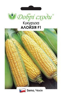 Насіння кукурузи Алойзія F1 (Alojzia F1) фото, Насіння кукурузи Алойзія F1 (Alojzia F1) інтернет магазин Добрі сходи