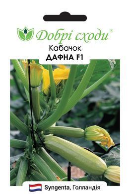 Насіння кабачків Дафна F1 (Dafna F1) фото, Насіння кабачків Дафна F1 (Dafna F1) інтернет магазин Добрі сходи