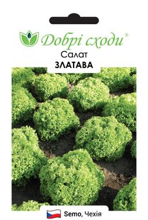 Семена салата Златава фото, Семена салата Златава интернет магазин Добрі сходи