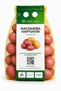Семенной картофель Мирослава (1 репродукция) фото, Семенной картофель Мирослава (1 репродукция) интернет магазин Добрі сходи