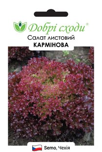 Семена салата Карминова фото, Семена салата Карминова интернет магазин Добрі сходи