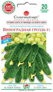 Виноградная гроздь F1 фото, Виноградная гроздь F1 інтернет магазин Добрі сходи