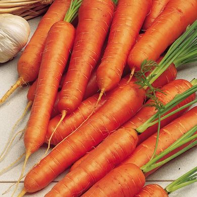 Насіння моркви Карділа фото, Насіння моркви Карділа інтернет магазин Добрі сходи