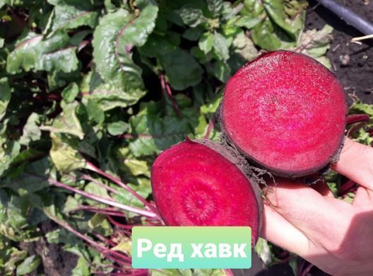 фото,  інтернет магазин Добрі сходи