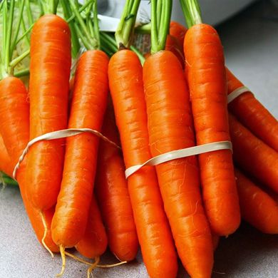 Насіння моркви Аніна фото, Насіння моркви Аніна інтернет магазин Добрі сходи