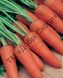 Насіння моркви Абако F1 фото, Насіння моркви Абако F1 інтернет магазин Добрі сходи