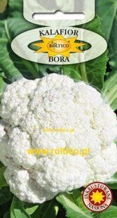 Бора (Borra) фото, Бора (Borra) интернет магазин Добрі сходи