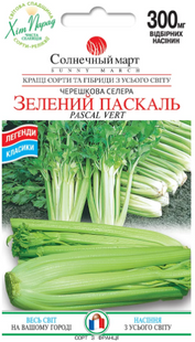 Насіння селери Зелений Паскаль фото, Насіння селери Зелений Паскаль інтернет магазин Добрі сходи