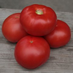 Насіння томату Белла Роса F1 фото, Насіння томату Белла Роса F1 інтернет магазин Добрі сходи