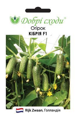 Семена огурцов Кибрия F1 (Kybria F1) фото, Семена огурцов Кибрия F1 (Kybria F1) интернет магазин Добрі сходи