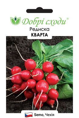 Насіння редиски Кварта (Kvarta)  фото, Насіння редиски Кварта (Kvarta)  інтернет магазин Добрі сходи