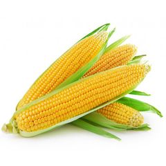 Насіння кукурудзи цукрової