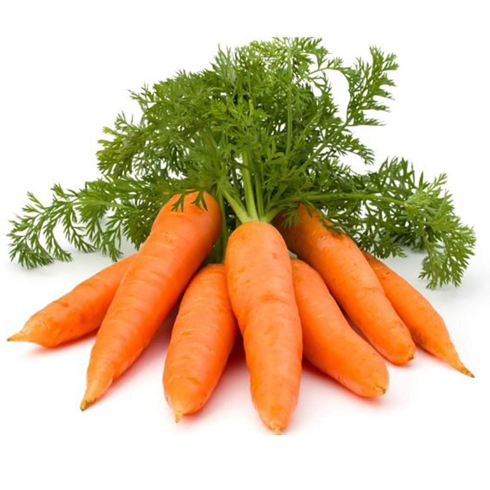  моркови —  желтой моркови в  оптом, цена