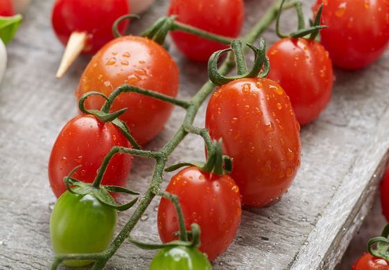 Рассада томата патио Profi-Frutti&trade; Grape Red F1 фото, Рассада томата патио Profi-Frutti&trade; Grape Red F1 интернет магазин Добрі сходи
