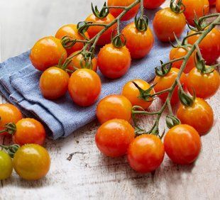 Рассада томата патио Profi-Frutti&trade; Mandarin F1 фото, Рассада томата патио Profi-Frutti&trade; Mandarin F1 интернет магазин Добрі сходи