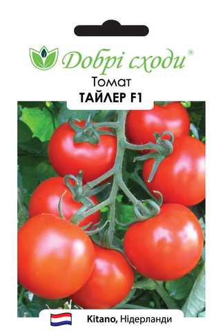 ▻ Семена томата (помидоров) Тайлер F1 ─ купить в интернет магазине в Украине
