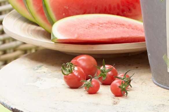 Рассада томата патио TuttiFrutti&trade; Melon F1 фото, Рассада томата патио TuttiFrutti&trade; Melon F1 интернет магазин Добрі сходи