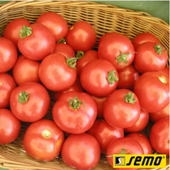 Насіння томатів Торо F1 фото, Насіння томатів Торо F1 інтернет магазин Добрі сходи