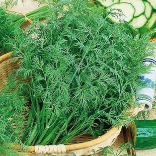 Укром Амзон фото, Укром Амзон интернет магазин Добрі сходи