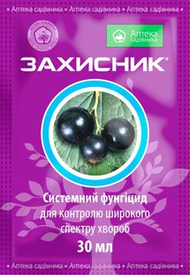 Захисник фото, Захисник интернет магазин Добрі сходи